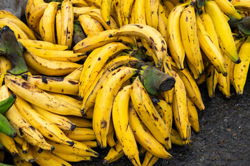 Many organic plantain in the Colombian peasant market square - Musa x paradisiaca. © Luis Echeverri Urrea