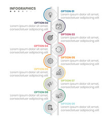 Modern 9 Step Vertical Business Process Infographic with Line Icons