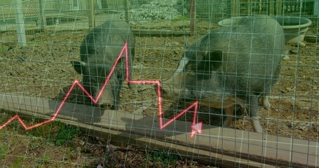 Standing two potbellied pigs nudging wooden ledge inside wire mesh pen with neon zigzag overlay