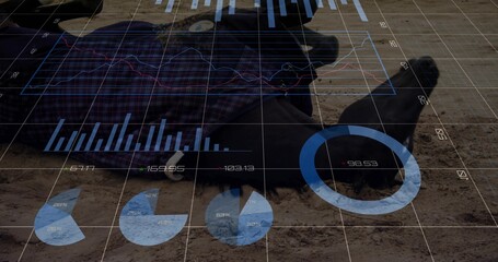 Obraz premium Lying person wearing dark jacket, plaid shirt, boots on sandy ground, displaying translucent graphs