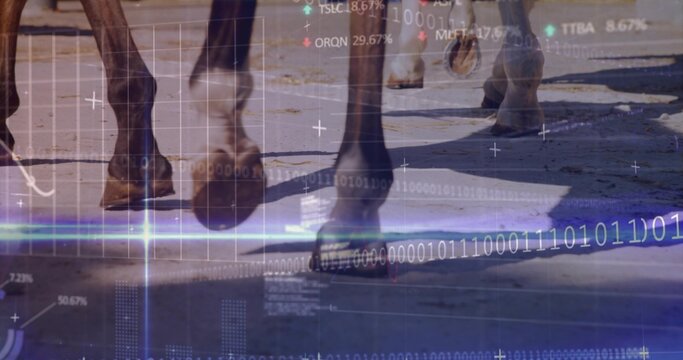 Walking horse lower legs kicking dust on paved road, showing hooves, shadows, binary overlays
