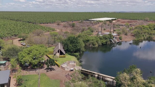 Aerial descends to irrigation reservoir dam on large banana plantation