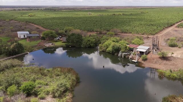 Aerial descends to dammed irrigation reservoir at banana plantation
