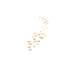 Nature Path illustration 