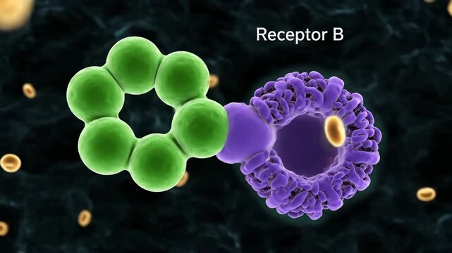 3D Animation: Insulin Protein Binding to Cell Membrane Receptor