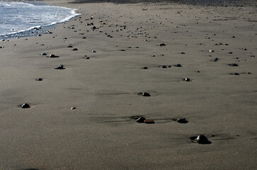 冬の浜辺。誰も居ない海を独り占めしている私。至上の解放感を味わっている。潮が引いたり寄せたり、そのたびに宝石のような小石や貝殻が、行ったり来たり波打ち際をさまよっている。眺めているだけで楽しい気分になった。幾分傾きかけた太陽の光が砂浜を照らしている。砂が作る不思議な紋様。あたかも地球上の広大な平原を眺めているようだ。時を忘れて浜辺で戯れている私。至福の時。