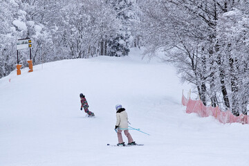 Skier and snowboarder descending snowy slope lined with trees in Madarao, Japan