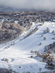 Scenic aerial shot of a Japanese ski resort in winter with people skiing down the mountain