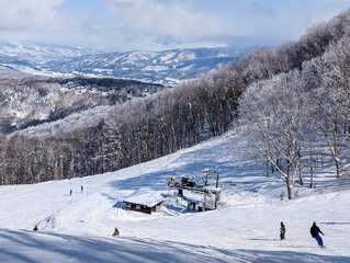 Scenic winter landscape featuring snow-covered trees and distant mountains in Japan