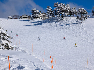 People enjoying winter sports on groomed run in Nagano Prefecture, Japan