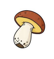 Cartoon drawing of an edible wild boletus mushroom with a thick stem and brown cap.