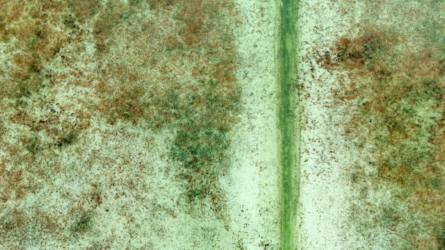 Top down aerial perspective of a vertical green waterway through a dormant winter landscape with patches of brown vegetation and light green moss