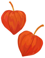 シンプルなホオズキのイラスト ベクター素材