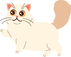 Obraz premium Chibi Persian Cat Illustration
