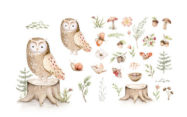 Watercolor cute baby owl animal. Woodland nursery isolated illustration for children. for children. watercolour stump and acorn forest drawing with floral elements.  © kris_art