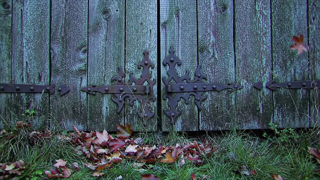 Rustic wooden gate with decorative metal hinges and autumn leaves falling. Outdoor fall scene.