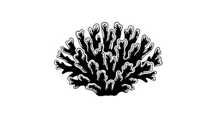 Black and white coral reef. © rohmat