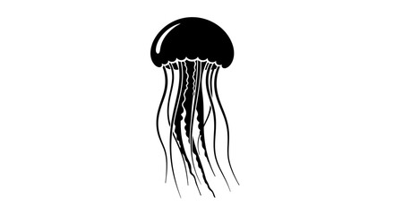 Black jellyfish with long tentacles swimming. © rohmat