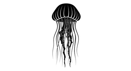 Black jellyfish with long tentacles swimming. © rohmat