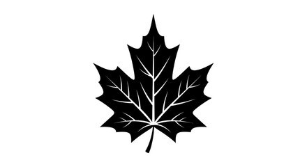 Fototapeta premium Black silhouette of a maple leaf.