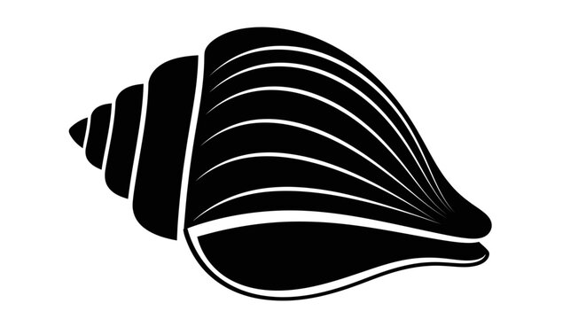 Black and white seashell illustration.