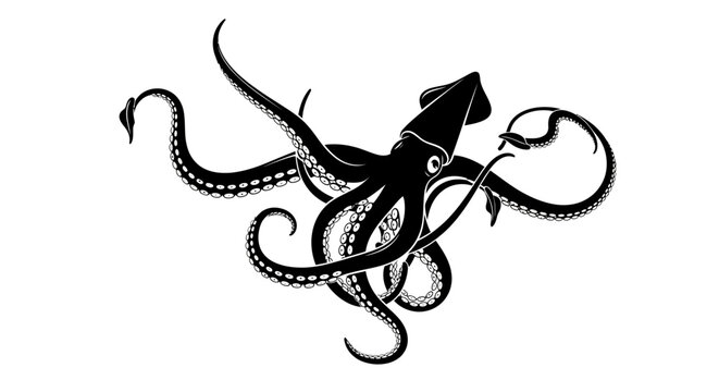 Black octopus with tentacles spread wide.