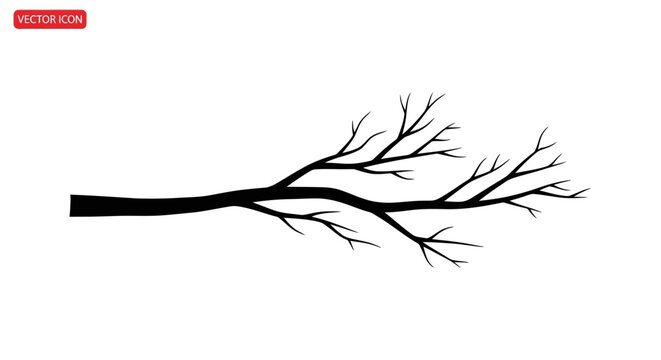 Black bare tree branch silhouette.
