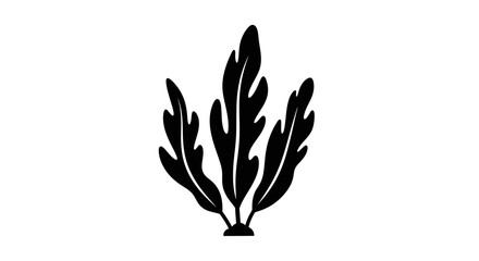 Black silhouette of seaweed plant. © rohmat