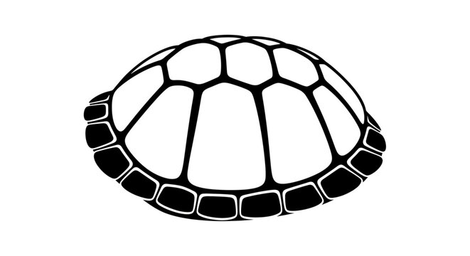 Detailed turtle shell close up view.