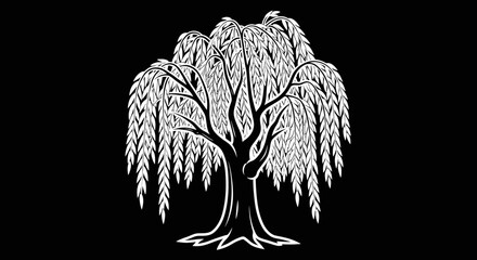 Weeping Willow Tree Illustration. © rohmat