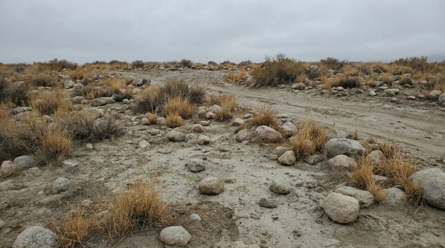 unfertilized landscape