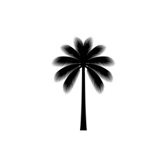 Silhouette of a palm tree with a white background
