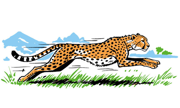 Cheetah speed racing vector artwork for t-shirt. Wild running graphic design. Fast animal predator illustration. African nature vintage artwork. Savan