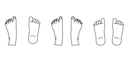 足の裏と甲のイラストセット・フットケアやリフレクソロジー・足の構造・マッサージやツボ押し解説用パーツ © みずもり