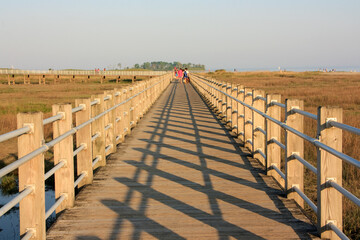 Fototapeta premium Path to the beach in the afternoon in Silver Sands State Park, Milford, Connecticut