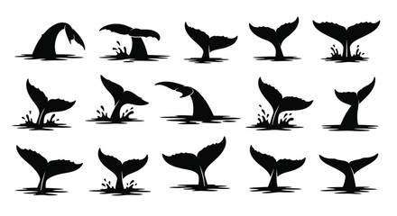 Variety of whale tail shapes and forms a striking silhouette © Full