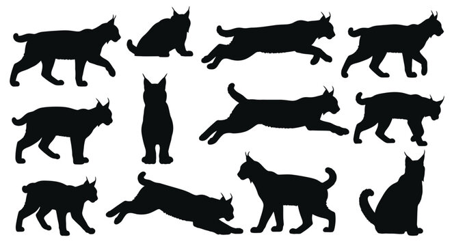 Multiple bobcat silhouettes in various dynamic poses a striking image silhouette