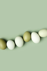 Natural green white colored chicken Eggs with sun shadows, minimal style aesthetic holiday background, organic dyed eggs for easter celebration, minimalist food composition, pastel color, copy space