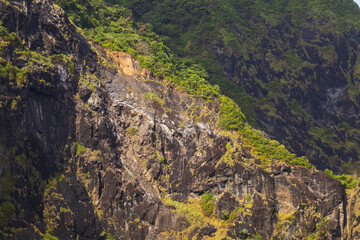 Steep tropical cliff face texture covered with green moss and dense foliage