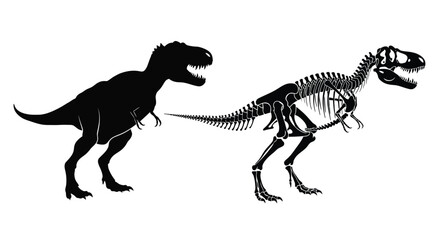 Tyrannosaurus rex depiction a living dinosaur and its skeletal form silhouette © mst