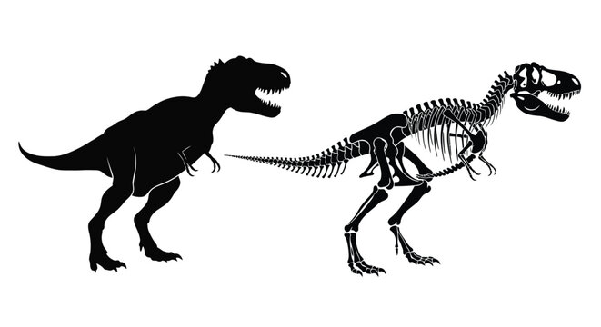Tyrannosaurus rex depiction a living dinosaur and its skeletal form silhouette