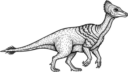 Fototapeta premium Gallimimus ornithomimid fast running dinosaur