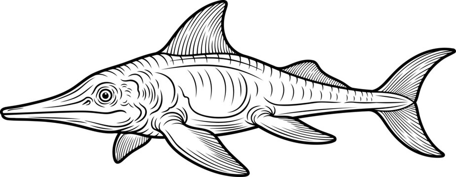 Long snouted ichthyosaur prehistoric sea creature drawing
