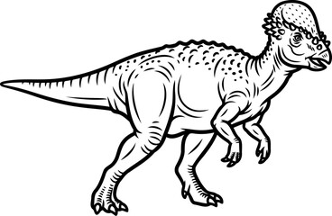 Fototapeta premium Pachycephalosaurus dome headed dinosaur drawing
