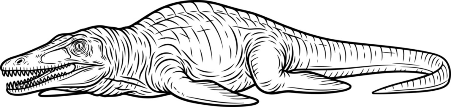 Primitive basilosaurus ancient whale outline