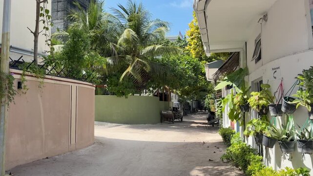 Quiet sandy street in Ukulhas Maldives lined with palm trees and island houses