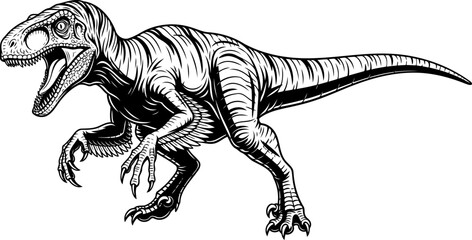 Velociraptor feathered dinosaur detailed outline illustration