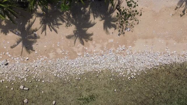 Aerial drone of Romblon beach with marble stones, swaying palm trees, and crystal-clear turquoise water, showing tropical coastline, serene scenery, exotic island landscapes, and natural beauty.