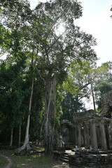 Exploring the ruins of Preah Khan temple in the Siem Reap area of Cambodia