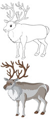 Fototapeta premium Reindeer Vector Illustration with Line Art and Colored Versions